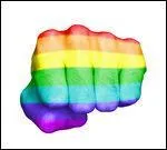 L'homosexualité est une maladie pouvant être guérie.