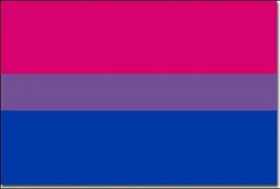 Les personnes bisexuelles sont en réalité des homos ou des hétéros refoulés.