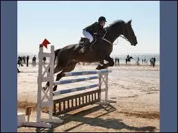 Quelles sont les parties d'un saut ?