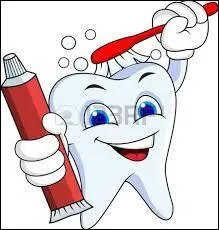 Quel est le siècle d'arrivée de la brosse à dents en Europe ?