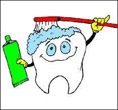 Au XVe siècle, de quel animal tirait-on les poils pour les mettre sur l'ancêtre de la brosse à dents ?