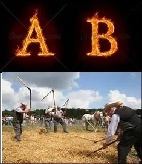 Choisissez le bon mot gr&acirc;ce a l'image.