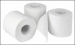 Qui a inventé le papier toilette ?