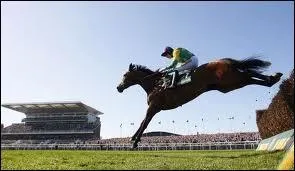 Les jeunes chevaux peuvent commencer à courir à l'obstacle vers 3 ans.