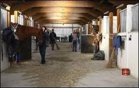 Les jeunes chevaux peuvent rejoindre les écuries des entraîneurs dès l'âge de 2 ans.