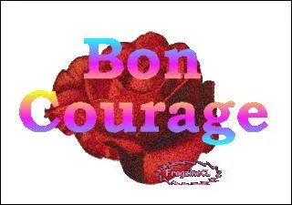 Cuisine. Préparation réalisée par cuisson dans la graisse, de viandes découpées de porc, de lapin, de volaille :