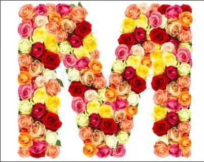 Géologie. Crevasse profonde qui se forme entre un glacier en mouvement et une paroi rocheuse immobile :