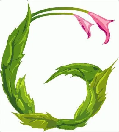 Canal étroit et en pente pour l'écoulement des eaux :