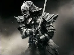 Comment appelle-t-on ce redoutable guerrier issu de l'époque féodale au Japon ?