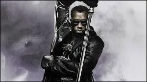"Blade" est un personnage de comics américains. Il a connu une adaptation au cinéma ainsi qu'à la télévision. A l'aide de son sabre parfaitement affûté, quelles créatures pourfend-il avec acharnement et sans relâche ?