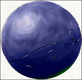 Comment s'appelle cette balle ?