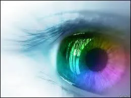 Parmi ces termes, lequel ne désigne pas un type particulier de lunettes ?