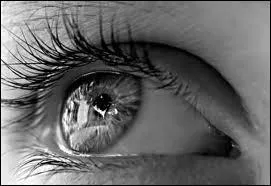 Laquelle de ces maladies concerne les yeux ?