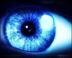 Dans quel pays les branches des lunettes sont-elles inventées ?