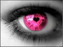 Quel membre du site porte dans son pseudonyme un synonyme du verbe "regarder" ?