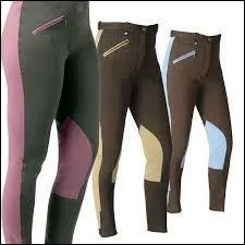 Comment appelle-t-on ce vêtement ?