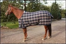 Quel nom porte cet accessoire sur la photo ?