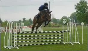 Quel est l'âge d'un cheval pour le début des compétitions ?