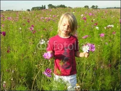 Qui chantait " Le petit gars là-haut sur la colline venait les contempler en paix" ?