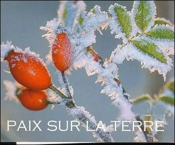 Quel jour de l'année a donné lieu à des trèves durant les guerres, synonyme de jour de paix ?