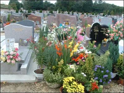 Qui chantait " C'est dur de mourir au printemps tu sais, mais je pars aux fleurs la paix dans l'âme" ?