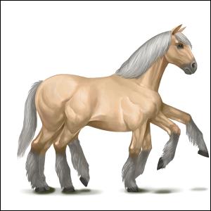 Quelle est la race du cheval représenté sur l'image ?
