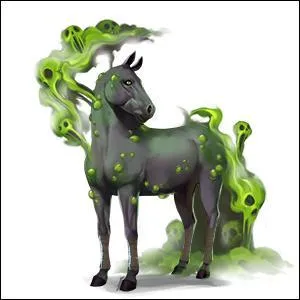 Quelle est la race de ce cheval ?