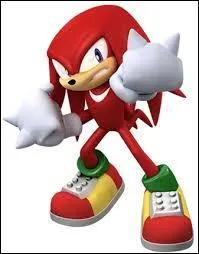 De qui est amoureux Knuckles ?