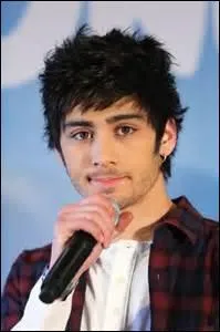 Zayn est aussi :