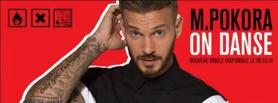 Comment s'appelle son 6e album, qui sortira le 2 février 2015 ?