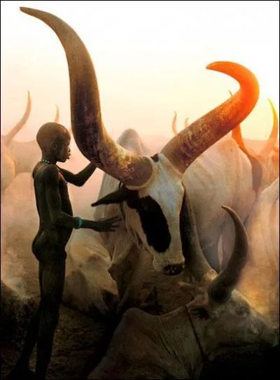 De quel pays sont les "Dinkas" ?