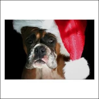 Lui aussi est de la fête :