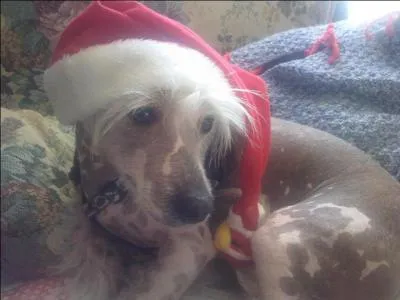 Qui se cache sous son bonnet ?