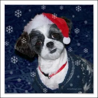 Démasquez celui-là !