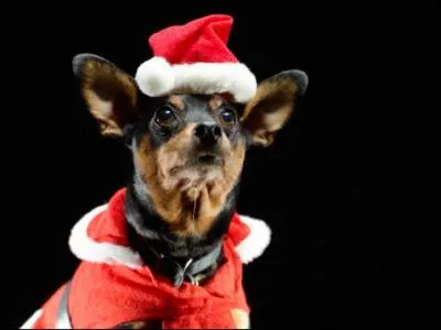 Voici encore un Père Noël :