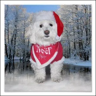 Celui-là est tout mignon :