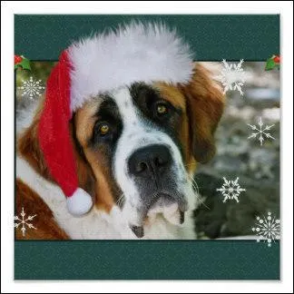 Il a l'air triste, mais il est heureux de fêter Noël dans la neige !