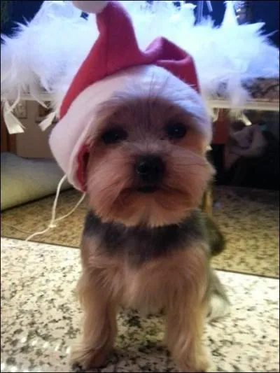 L'avez-vous reconnu ?