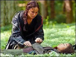 Complétez la berceuse chantée par Katniss à Prim et Rue : "Sous le grand sol, au fond de la prairie ..."