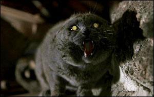 Quel est ce téléfilm lui aussi adapté d'un roman de Stephen King ?