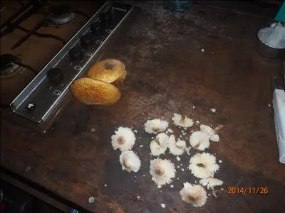 Peut-être appuya-t-il un peu trop dessus !