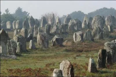 C'est la minute de vérité, on va bien voir si vous êtes tombés dedans tout petits !