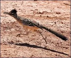La réponse est facile, il n'y a pas de raisons de prendre ses jambes à son cou, mais je vous en prie, poursuivez ...