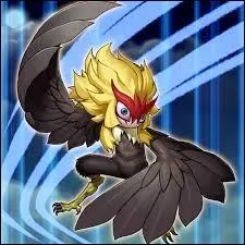 Quelle est cette carte ?