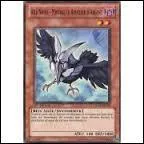 Quelle est cette carte ?