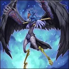 Quelle est cette carte ?