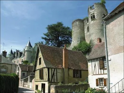 Votre frère Nicolas vous invite à passer le week-end prochain chez lui à Montrésor, dans quel département irez-vous ?