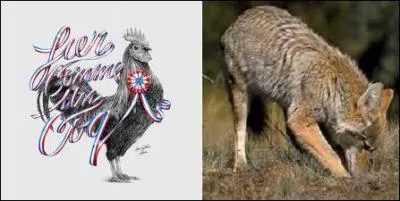 Qui la devise suivante inspire-t-elle ? « Fier comme un coq, rusé comme un coyote. »