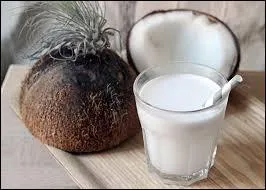 Comment fabrique-t-on le lait de coco ?