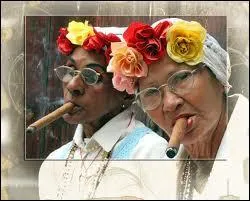 Laquelle de ces îles est mondialement réputée pour la qualité de ces cigares ?